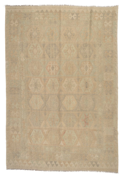 Kilim Afegão 289x196 cm.